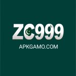 ZC999 Game